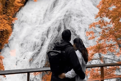 From Tokyo: Nikko Private Tour with Toshogu Shrine & Falls
