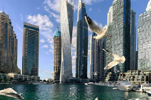 Private Dubai city tour fullday Guided Tour priate full day Dubai tour