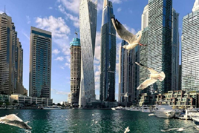 Private Dubai city tour fullday Guided Tour priate full day Dubai tour