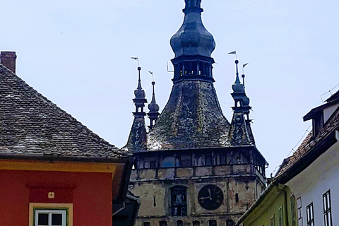 Brașov: Sighișoara, Saschiz & Viscri UNESCO Day Trip