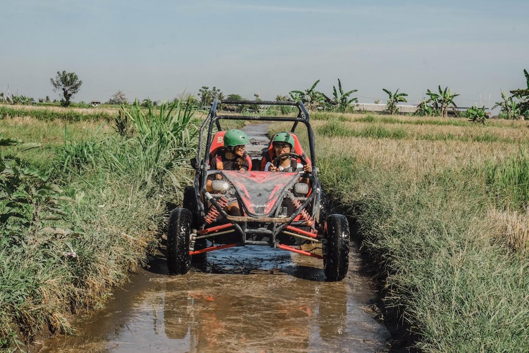Ubud: 5-Terrain Buggy Adventure with Cave, River & Lunch Single Buggy: 1 Person per Buggy