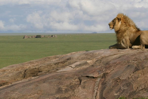 5 Days Group Serengeti, Ngorongoro & lake Manyara Safari