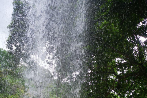 Kwale: Private day tour to Shimba Hills with Picnic lunch