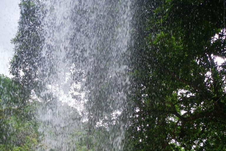 Kwale: Private day tour to Shimba Hills with Picnic lunch