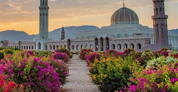 Muscat:City Tour with local guide and Pickup & drop off