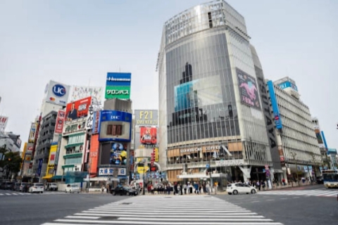 1 jour de visite de Tokyo : Personnalisable (jusqu'à 6 personnes)Excursion d'une journée à Tokyo : Recommandé et personnalisé (jusqu'à 5 personnes)