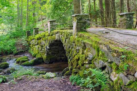 Day Trips from Smoky Mountains GetYourGuide