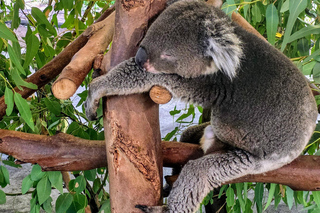 Theme Parks in Perth