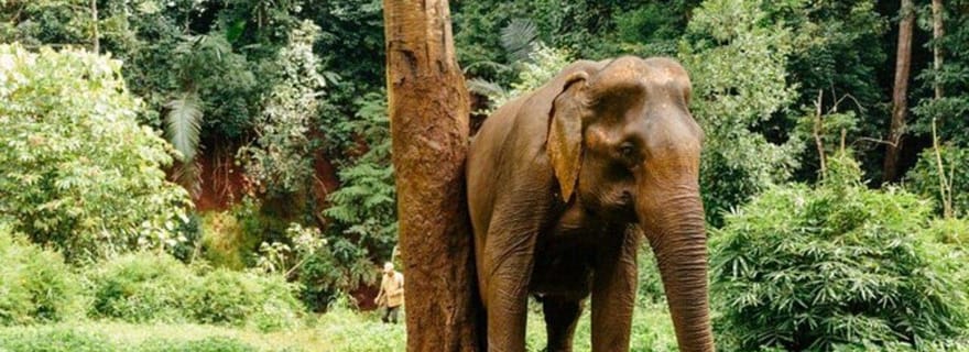 Parc animalier de Lombok : billet d'entrée