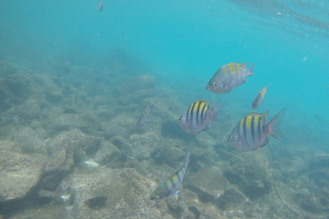 HELE DAG NAAR SANTA FE EILAND IN GALAPAGOS