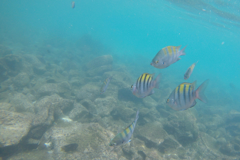 GANZER TAG AUF DER INSEL SANTA FE IN GALAPAGOS