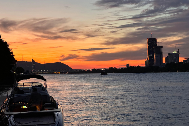 Wien: Exklusive Yachttour auf der DonauWien Zentrum Tour auf dem Wasser