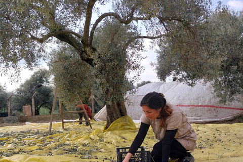 Kusadası: Countryside Tour with Lunch and Drinks