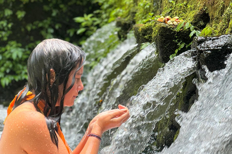 All-Inclusive Rice Terrace, Waterfall, and Temple Day Tour Rice Terrace, Waterfall, Monkey and Temple Without Ticket