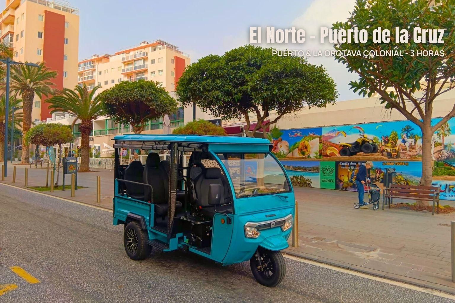 Entdecken Sie den Norden Teneriffas: Puerto de la Cruz und das historische La Orotava (2 Stunden)