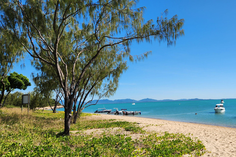 Coastal Beaches Escape-Dingo Beach & Cape Gloucester