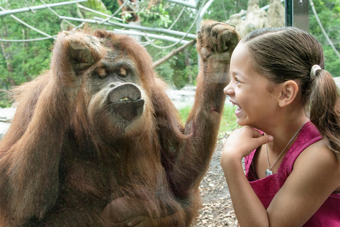 San Diego: Go City Essentials Pass