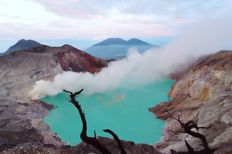 Banyuwangi/Bali: Mount Ijen Midnight Blue Fire Wycieczka z przewodnikiemZ Banyuwangi: Mount Ijen Midnight Blue Fire Wycieczka z przewodnikiem