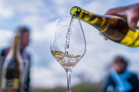 Royal Loire E-bike day: Amboise, Chenonceau & Wine Tasting