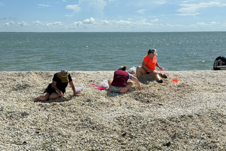 Marco Island: Dolphin, Shelling, Beach & Ten Thousand Island 4 Hour Option