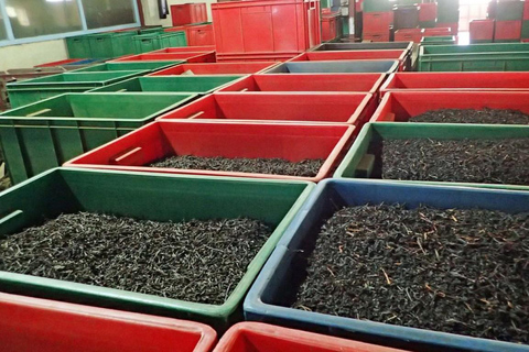 Tea Factory Tour with Tea Tasting , Pickup and Drop off