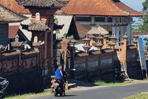 Ubud: Discesa in bicicletta con vulcano, terrazze di riso e pasto