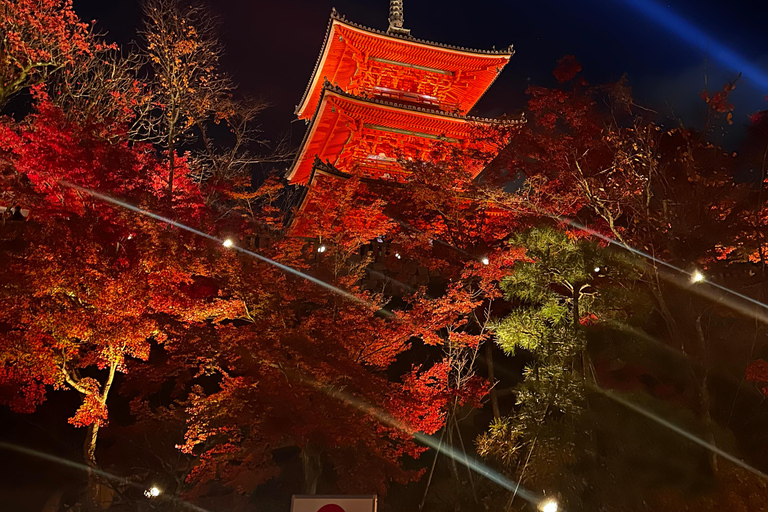 Tour di Kyoto: Sanjusangendo, Kiyomizudera, Pagoda Yasaka e Ginkakuji.