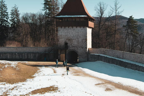 Bucharest: Transylvania Castles Tour with Dinner