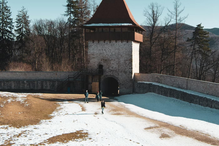 Bucharest: Transylvania Castles Tour with Dinner