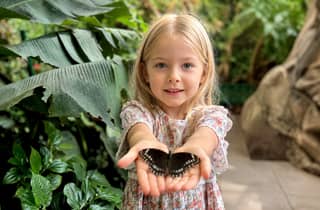 Wien: Private Family Tour, Stadthighlights, Museum & Torte