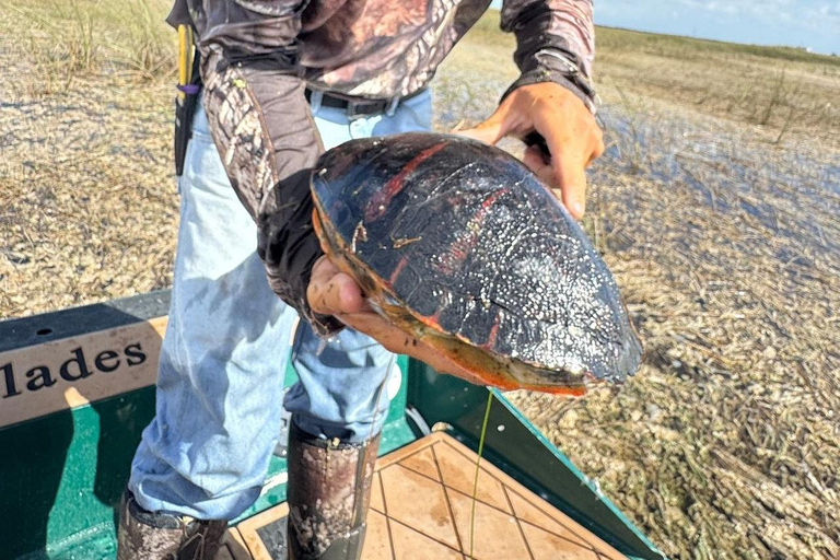 Everglades: Semi-Private or Private Airboat Tour Everglades: Private Airboat Tour 2hrs