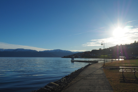 Guided tour to Hardanger Fjord, Waterfalls, Ferry Crossing