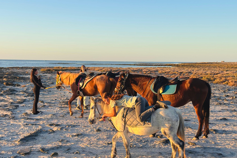Horse Riding on Sidi Jemour Beach – Coastal Adventure SUNSET Horse Riding on Sidi Jemour Beach – Coastal Adventure