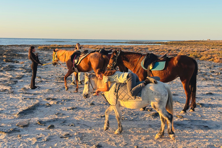 Horse Riding on Sidi Jemour Beach – Coastal Adventure SUNSET Horse Riding on Sidi Jemour Beach – Coastal Adventure