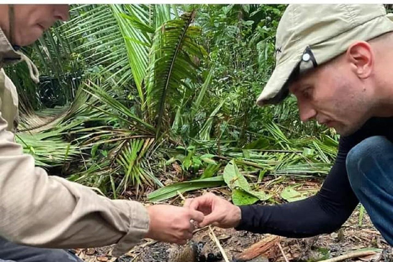 Sobrevivência na Selva