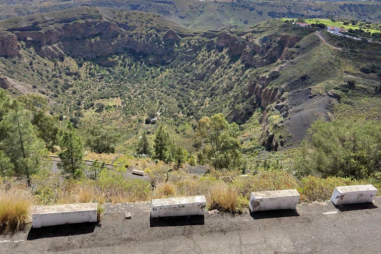 Private Bandama Caldera Volcano, Botanic Garden & Old Town
