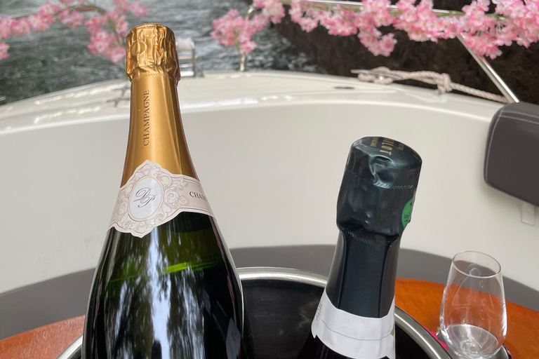 Unique Cruise on the Canal Saint-Martin and the Seine