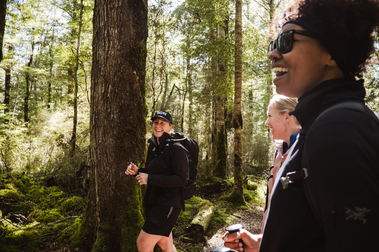 Te Anau: Lake Marian Guided Day Hike with Lunch