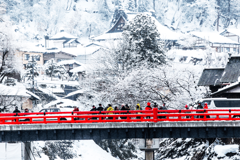 Desde Nagoya: excursión de un día a Shirakawa-go y Hida-TakayamaIncluye mirador. Salida de la estación de Nagoya a las 8:00.