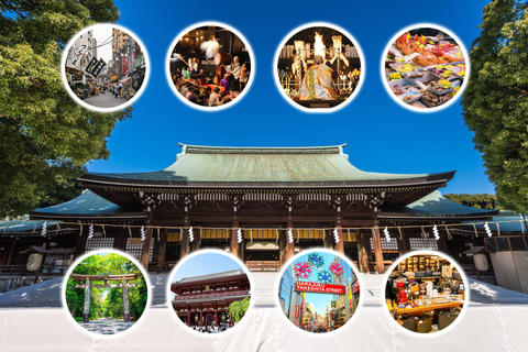 Tokyo: Customized Full-Day Tour