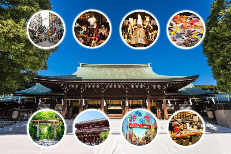 Tokyo: Customized Full-Day Tour