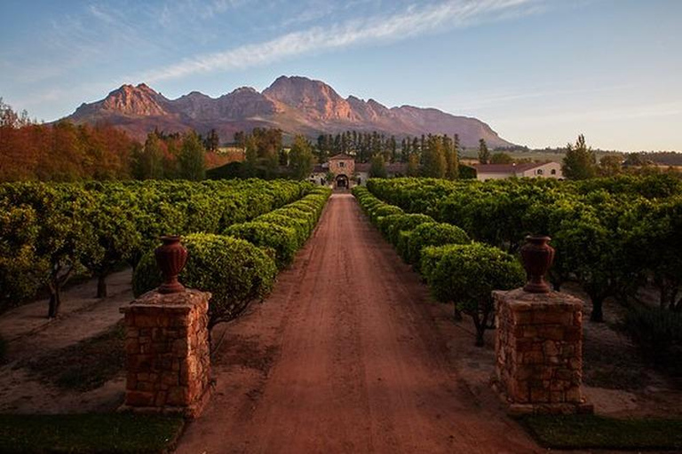 From Cape Town: Stellenbosch Wine Estates Tour with Tastings