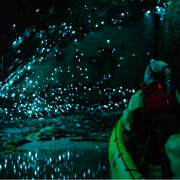 Rotorua: Glow Worm Kayak Tour