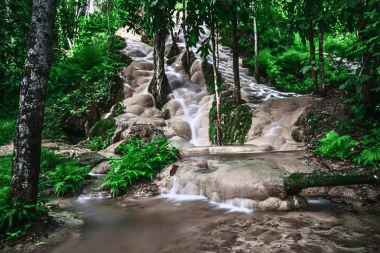 Chiang Mai: Culture of Temples and Sticky Waterfall