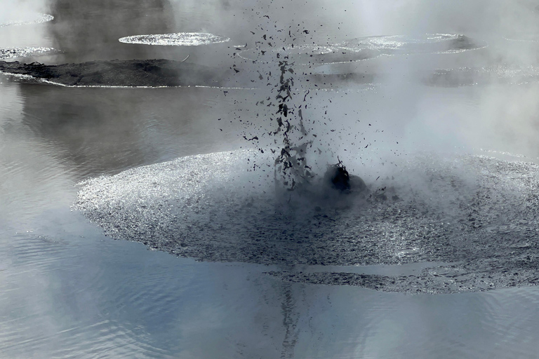 Von Rotorua WAI-O-TAPU + Lady Knox Geysir + Mud Pool Combo