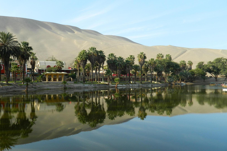 Private tour to Ballestas Islands, Hacienda Caravedo, and sunset in Huacachina