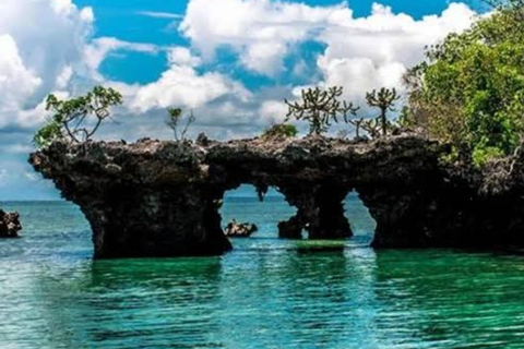 ZANZIBAR: SAFARI BLUE PRIVATE TOUR (KWALE ISLAND)& SEA FOOD