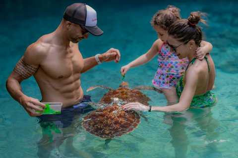 Zanzibar: Beach Day Tour to Salaam, Mtende, Paje & The Rock