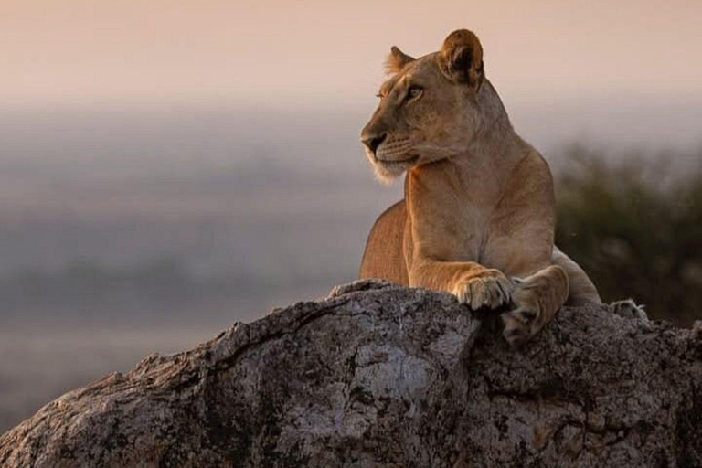 3 Days, 2 nights safari to Samburu National Reserve 3 Days private safari in a 4x4 Landcruiser jeep