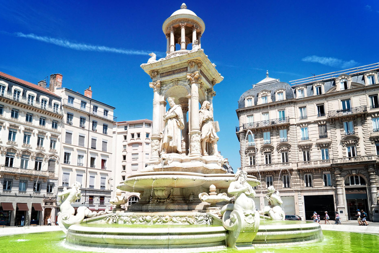 Lyon: Museum of Fine Arts Ticket & City Audio Guide